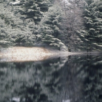 stephen-crane-pond-winter