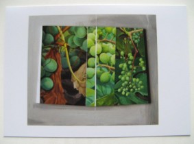 Grape Vine Greeting Card